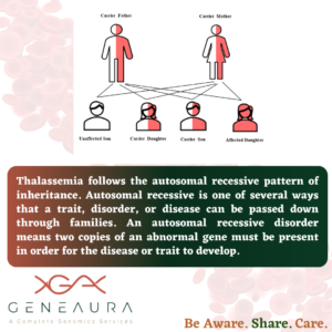 Genetics Thalassemia 