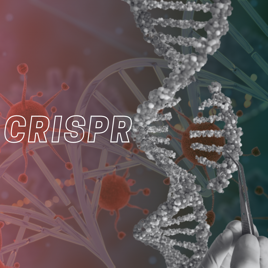 CRISPR: Unravelling the Gene Editing